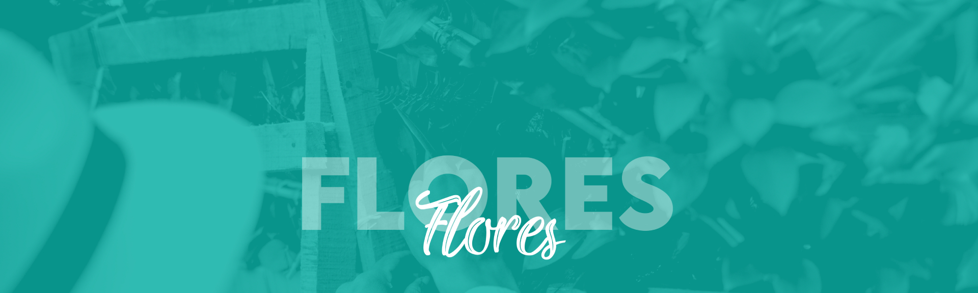 Banner Categoría Flores - Corporación de Silleteros
