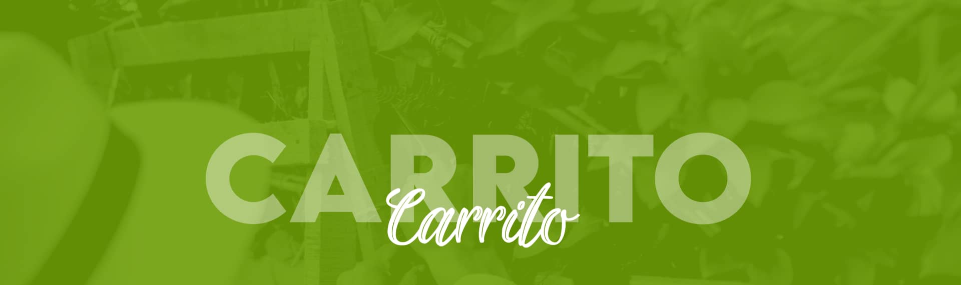 Banner Carrito - Silleteros Santa Elena
