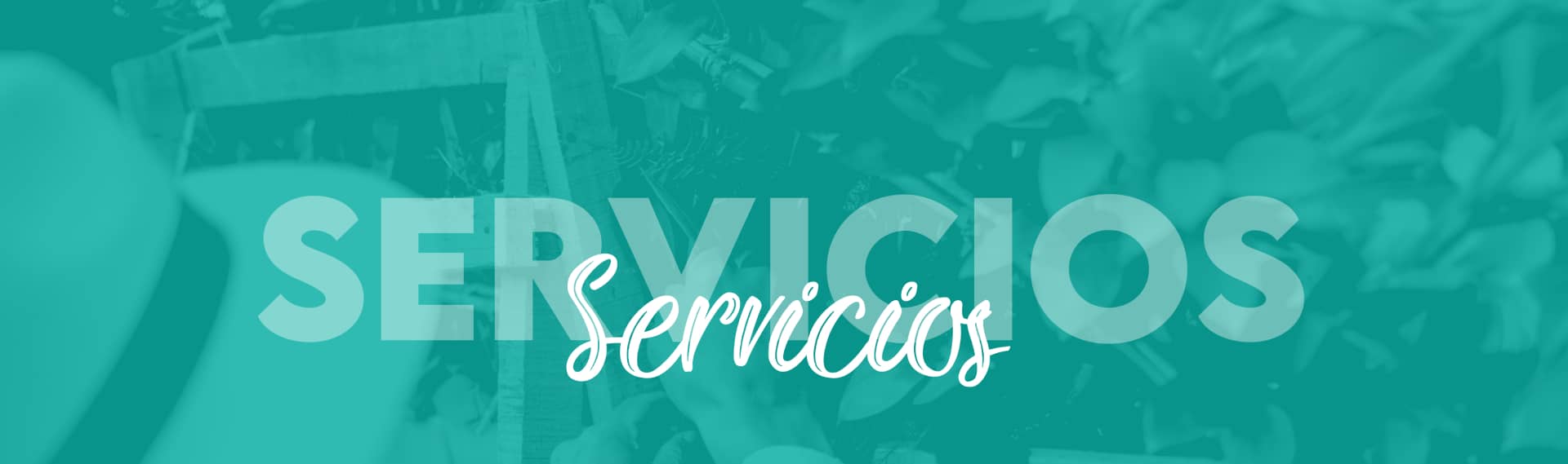 Banner Servicios - Corporacion de Silleteros